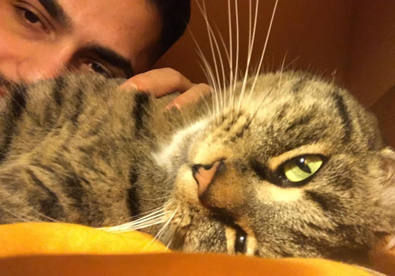 Mann liegt im Bett mit grauer Katze