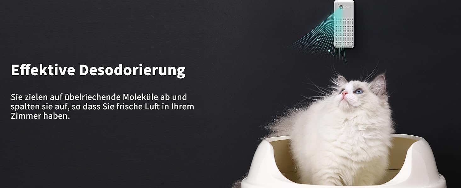 Weiße Katze sitzt im Katzenklo und schaut hinauf, über ihr befindet sich das PETKIT Smart Purifier