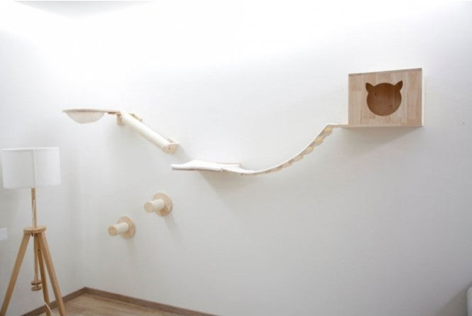 Die Kerbl Kletterwand Anden aufgebaut an der Wand