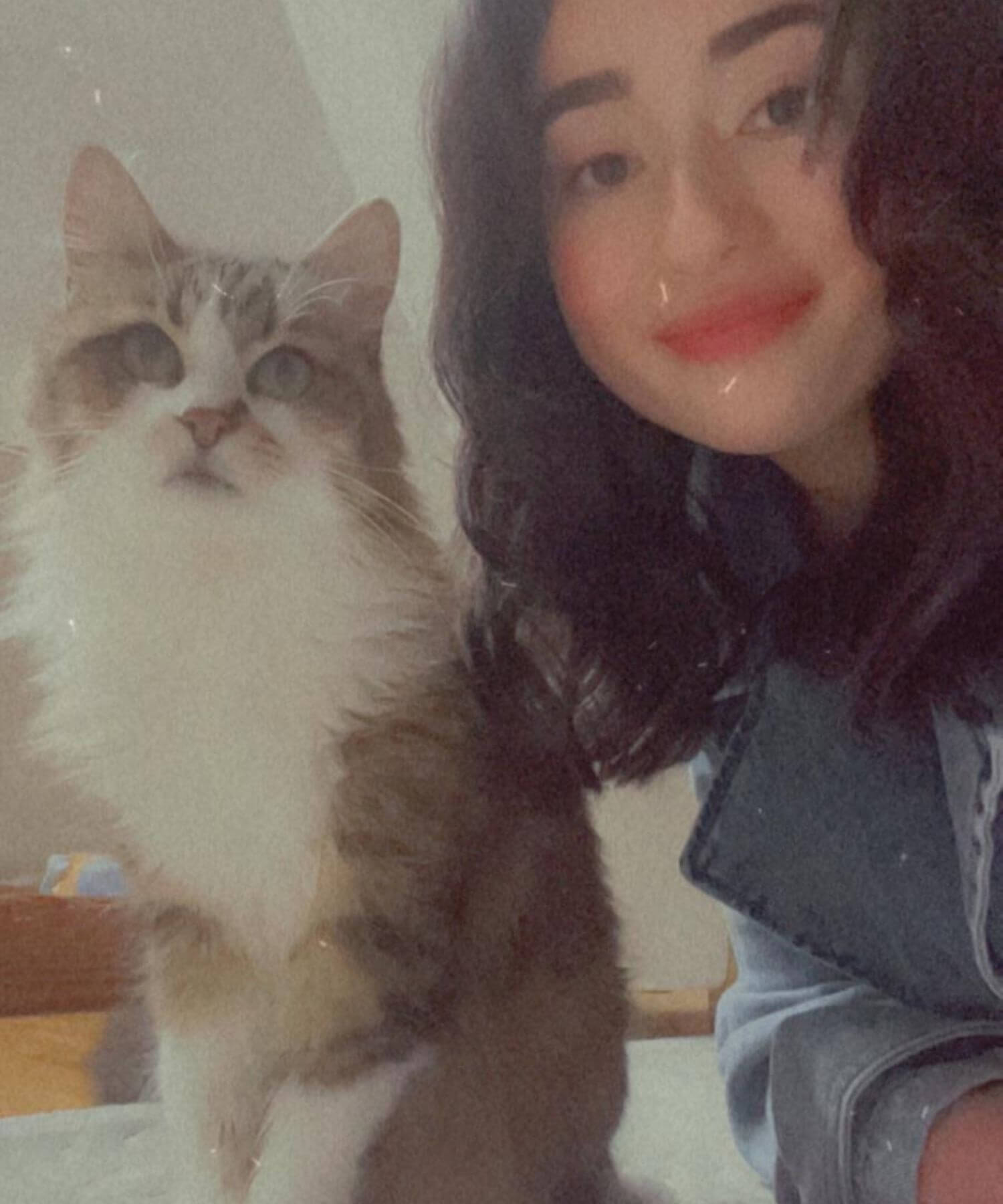 Mädchen posiert mit ihrer weißen Katze und lächelt dabei