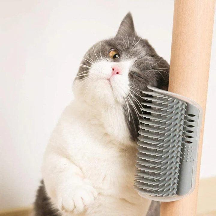 Ecken-Kratzer Pflege Pepe the Cat