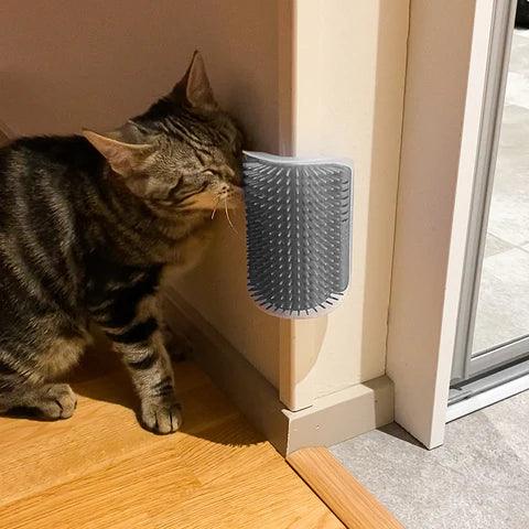 Ecken-Kratzer Pflege Pepe the Cat