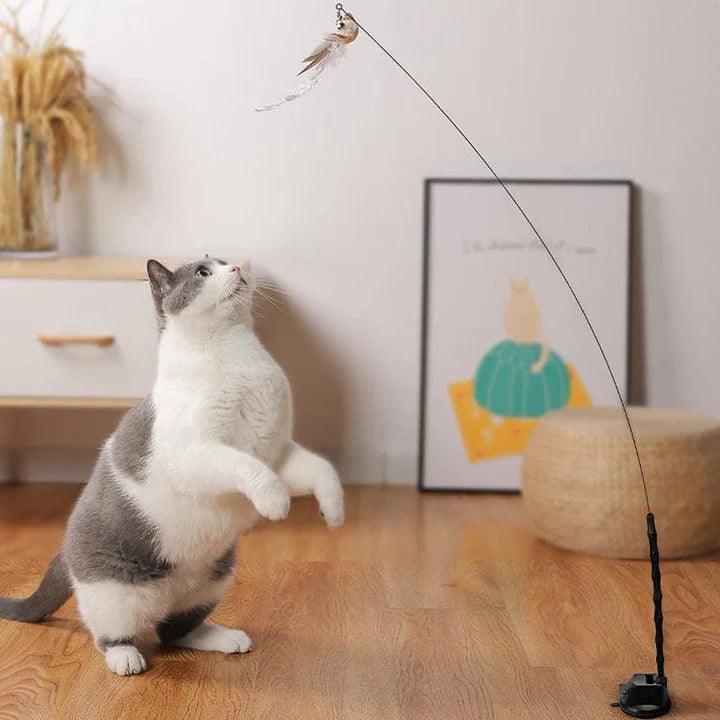 FederFrenzy - Jag den Vogel Spielzeuge Pepe the Cat