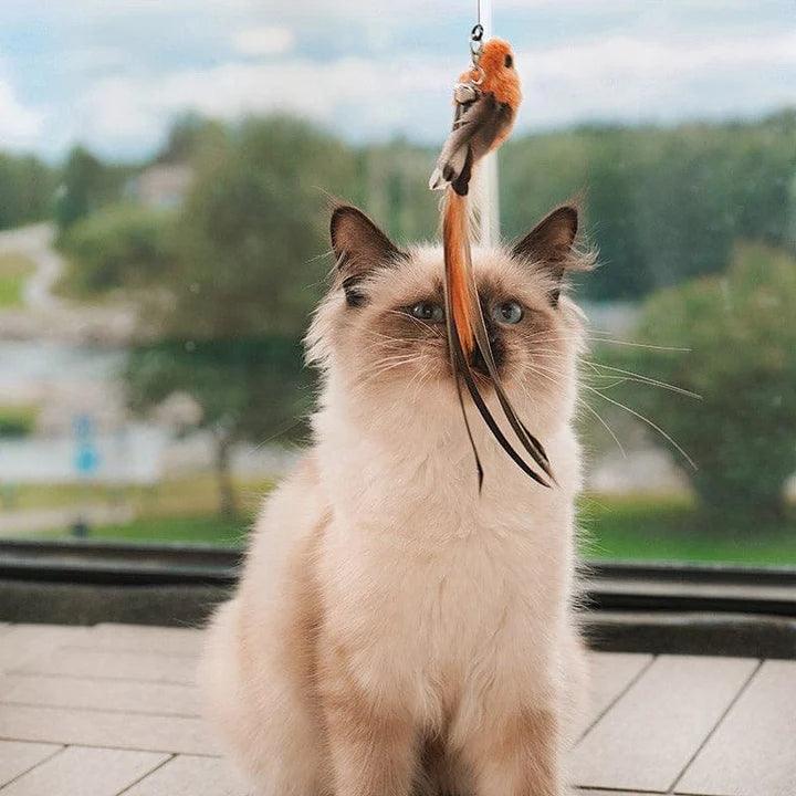 FederFrenzy - Jag den Vogel Spielzeuge Pepe the Cat