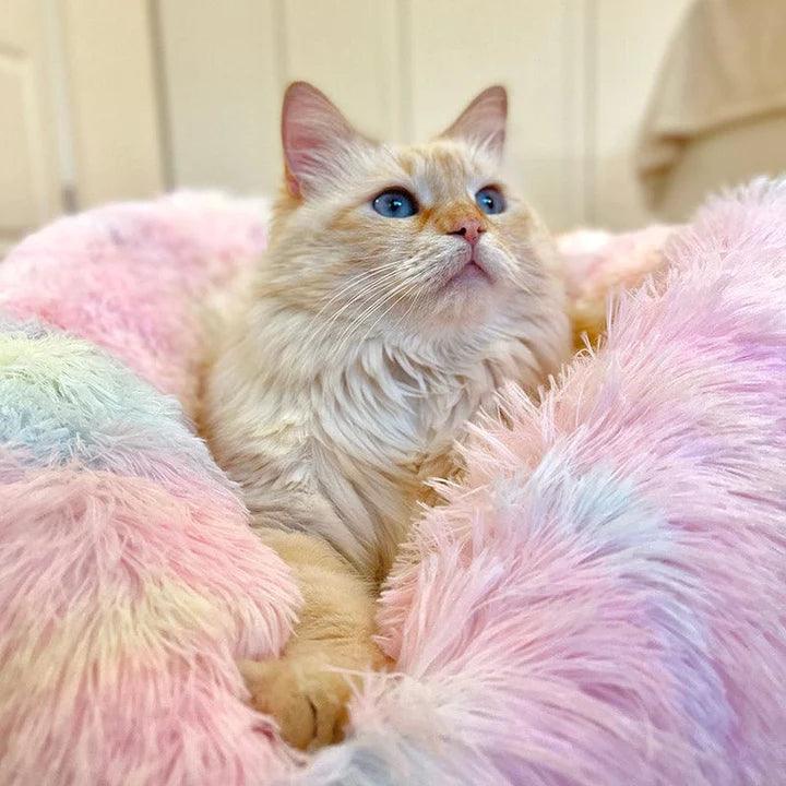 Flauschiges Katzenbett Betten Pepe the Cat Regenbogen S