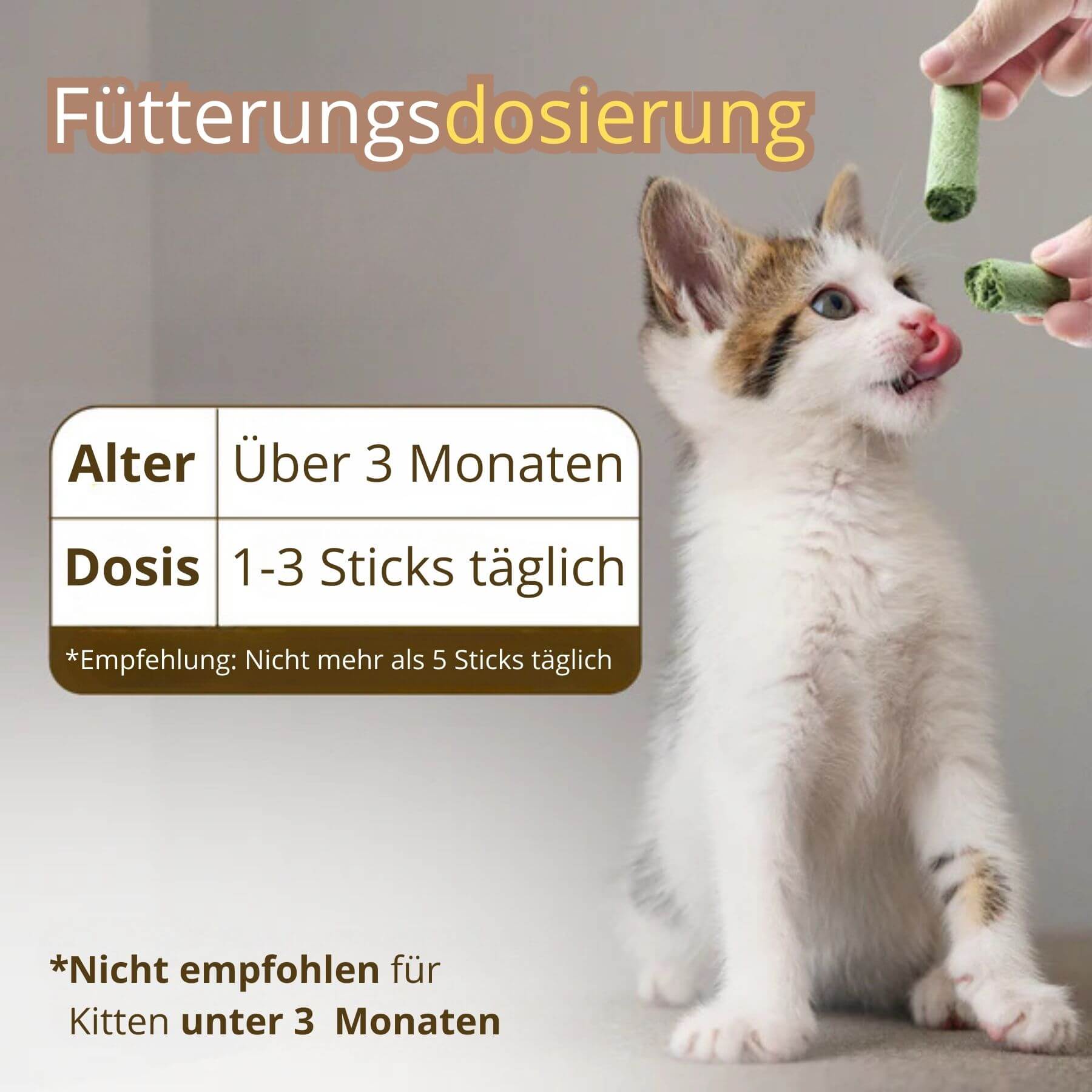 Fütterungsdosierung des Katzenminze Sticks