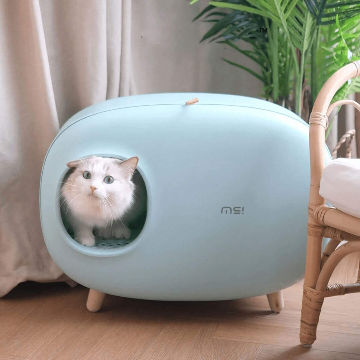 PAMUK Katzentoilette - Pepe the Cat Babyblau Katzenklos