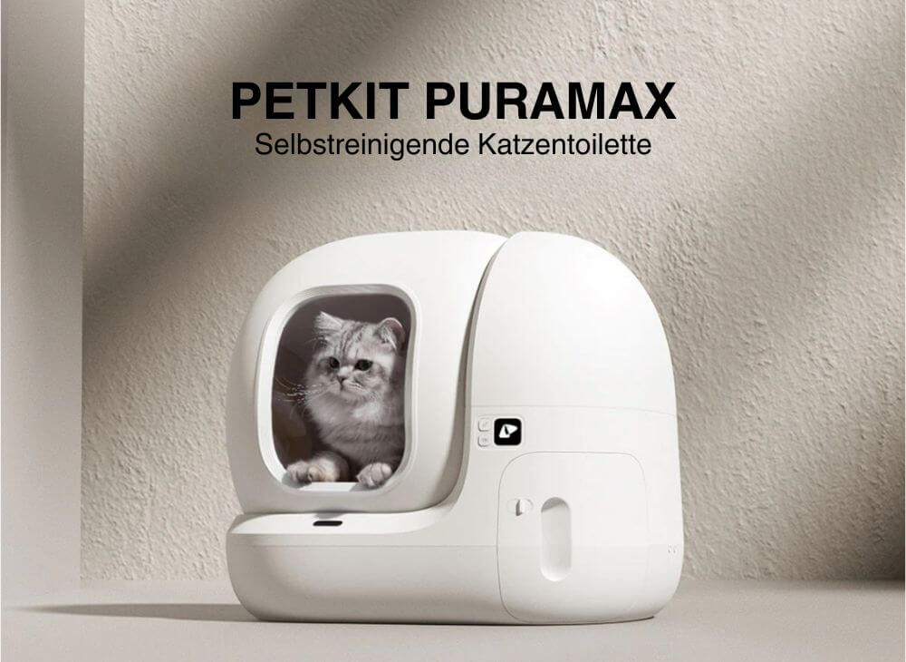 Weiße Katze sitzt im PETKIT Pura Max selbstreinigende Katzentoilette