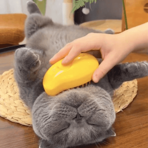SteamFurr™ - Katzen-Dampfbürste Pflege Pepe the Cat