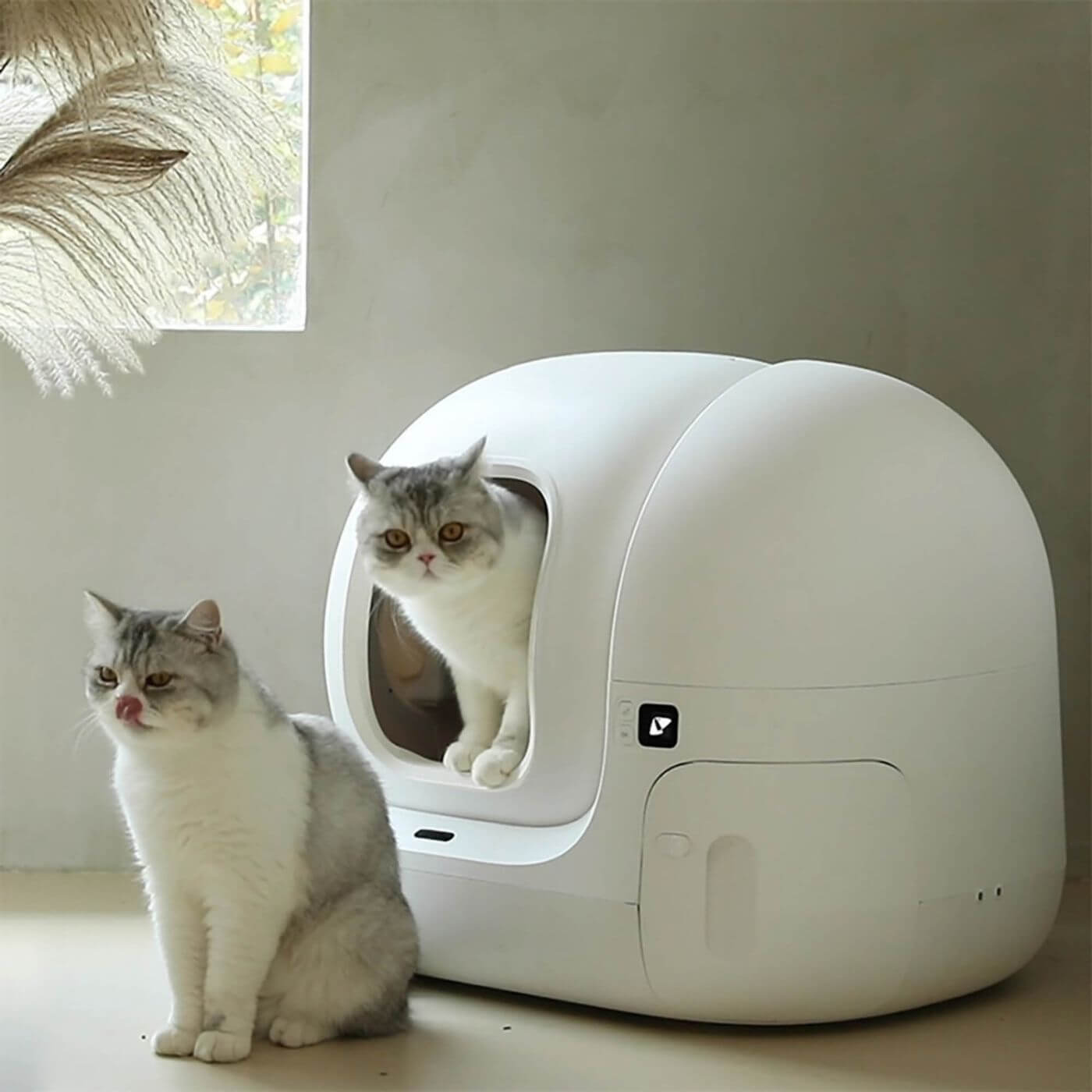 Zwei Katzen sitzen in einem automatischem Katzenklo