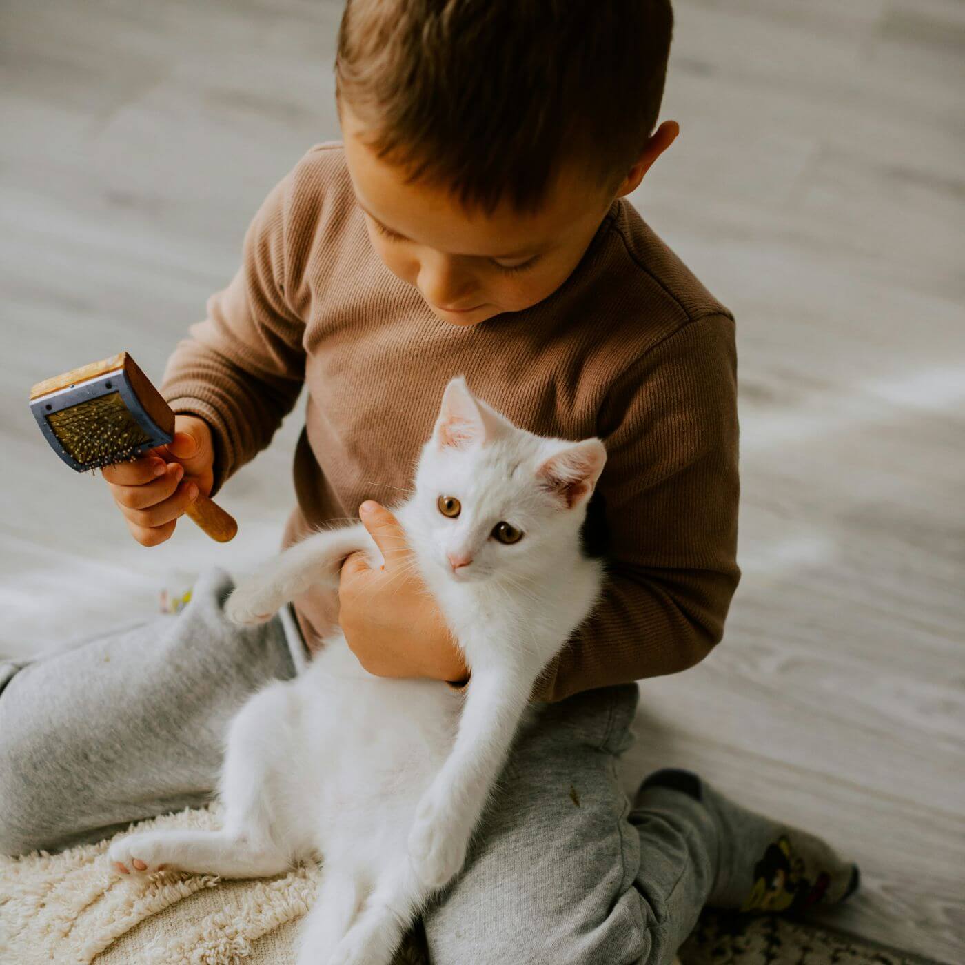 Kleines Kind hält eine weiße Katzen im Arm und eine Bürste