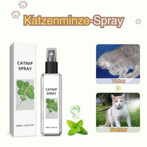 Links das Katzenminze-Spray und rechts Vorher- und Nachher-Bilder der Katze