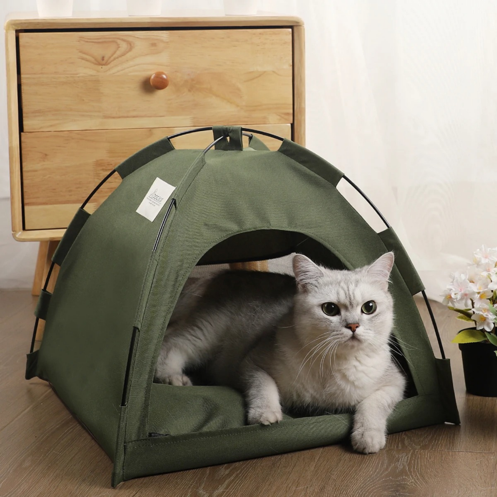 katzen zelt Katzenzelt Tyson pps-straps-type: Sling Gebrauchte Fahrräder verkaufen - Körper:Shimano/SRAM