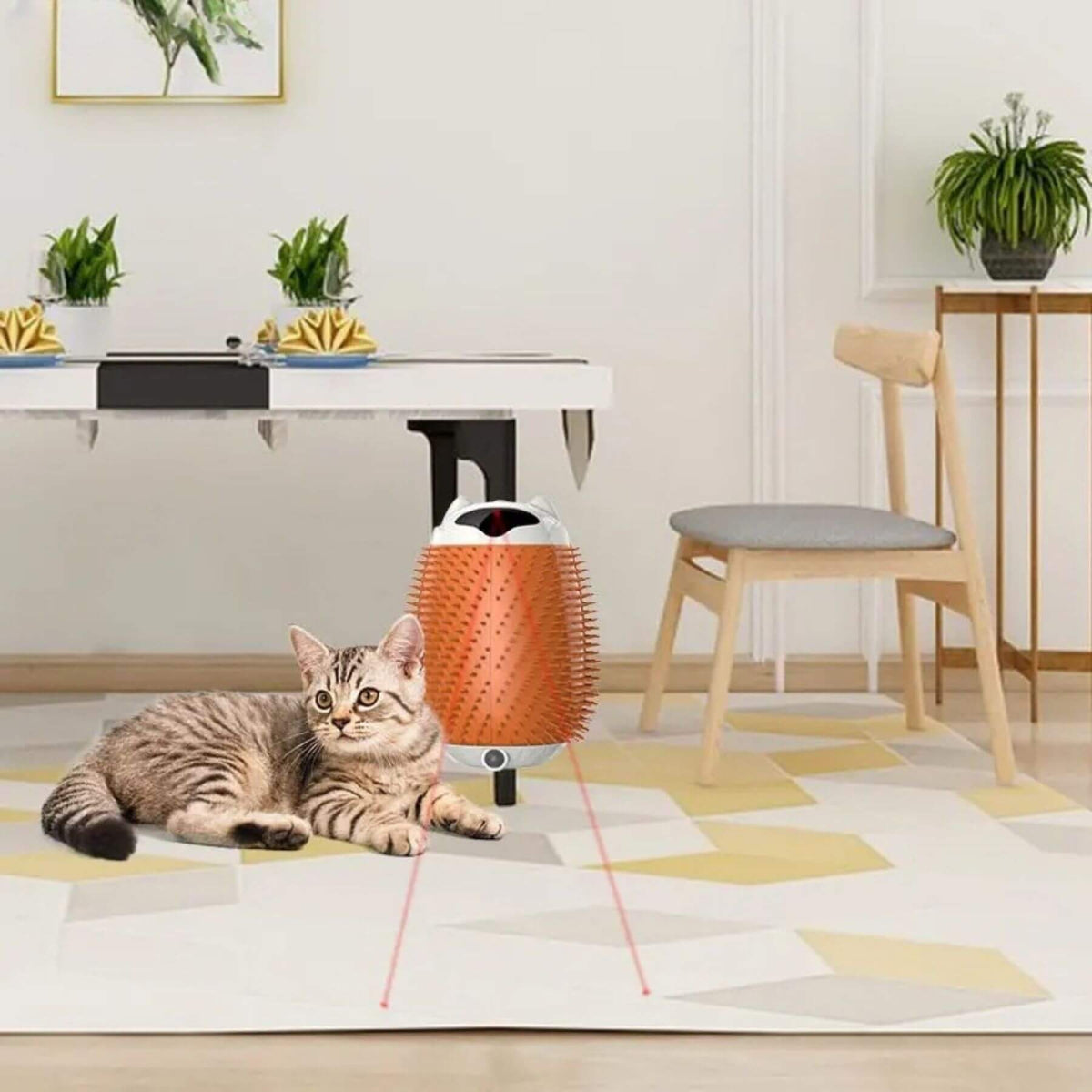 Katze sitzt im Wohnzimmer neben dem automatisch rotierende Katzenbürste Bibo