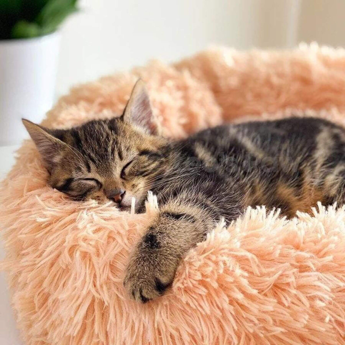 Flauschiges Katzenbett Relax