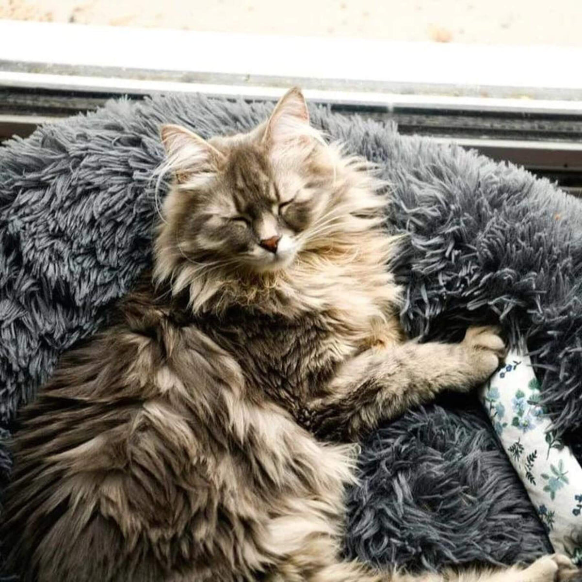 Flauschiges Katzenbett Relax