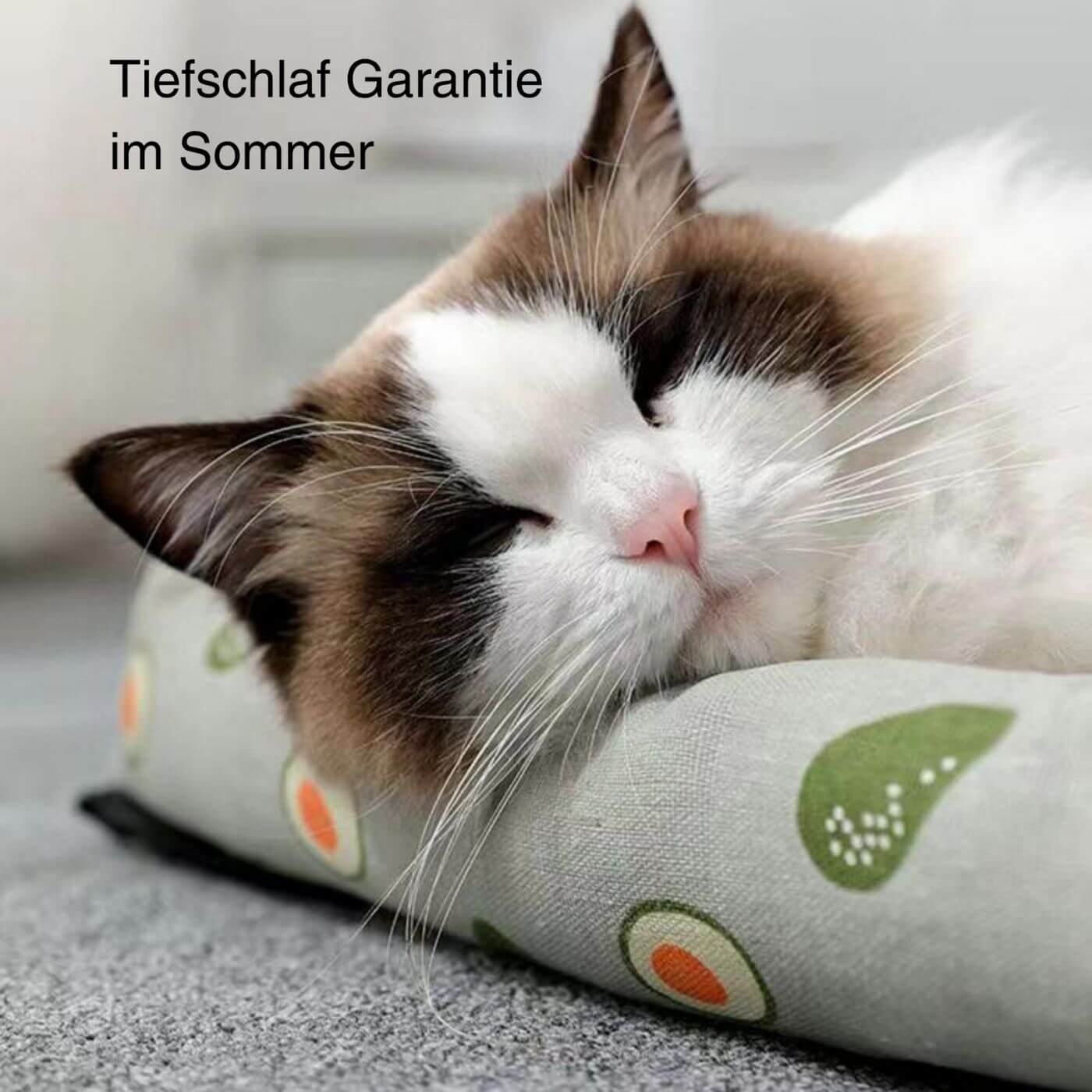 Weiß-braune Katze schläft auf der Kühlmatte aus Rattan Kali