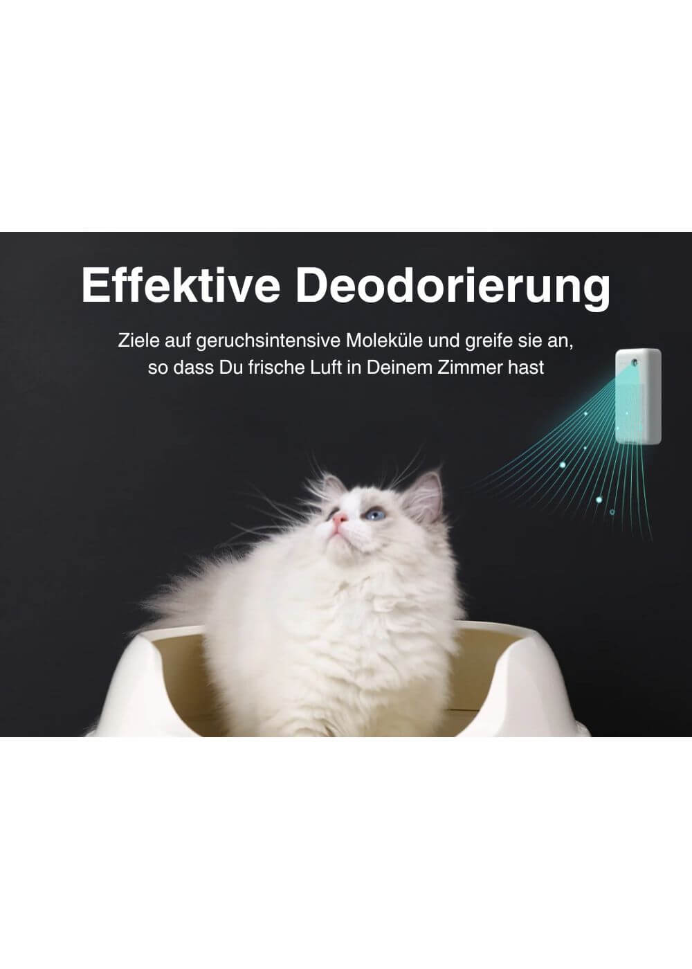 Weiße Katze sitzt im Katzenklo und schaut hinauf, über ihr befindet sich das PETKIT Smart Purifier