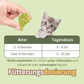 Fütterungsdosierung des Trockenfutter gegen Zahnstein Katzen